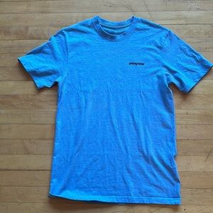 Patagonia cotton t-shirt